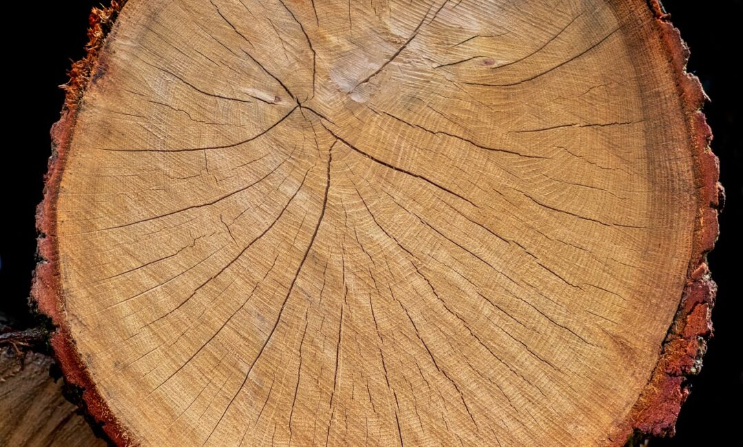 Des_murs_en_tasseaux_de_bois_pour_une_maison_chaleureuse_et_moderne
